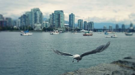 1799988_10152833644978623_6491816898859851921_o